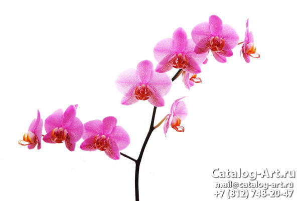 Натяжные потолки с фотопечатью - Розовые орхидеи 10